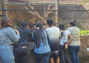 Nicaragüenses eligen el Zoológico Nacional como su destino preferido de vacaciones