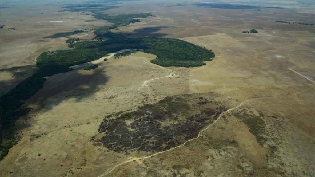 Alertan sobre riesgos de deforestación en Amazonía colombiana