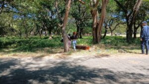 Joven de la diversidad sexual es encontrado muerto en Granada