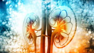 El trasplante de riñón ahora es gratuito en Rusia