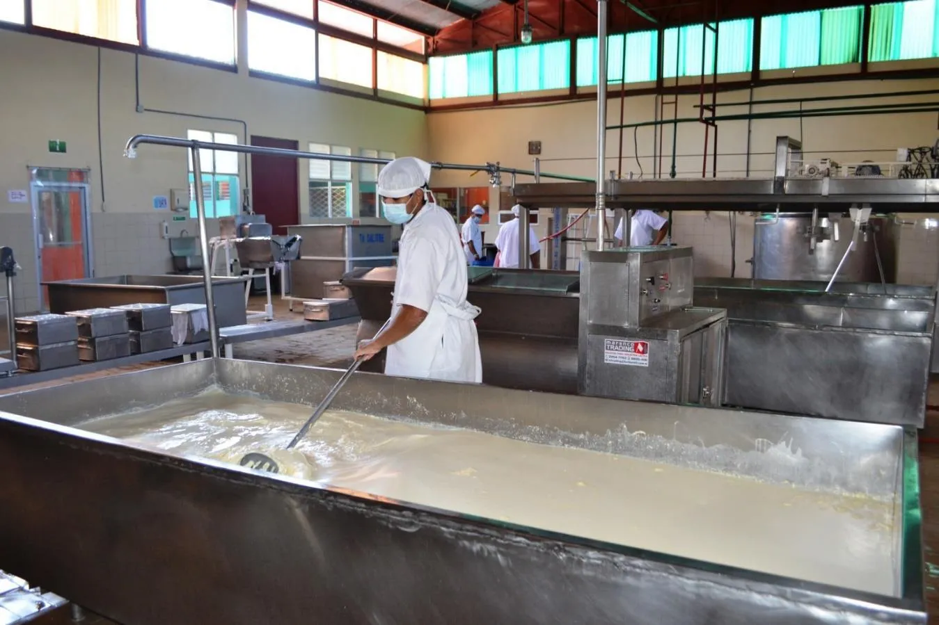 Nicaragua produjo 370.1 millones de galones de leche en el 2025