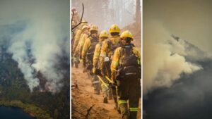 Voraces incendios forestales arrasan miles de hectáreas en Argentina