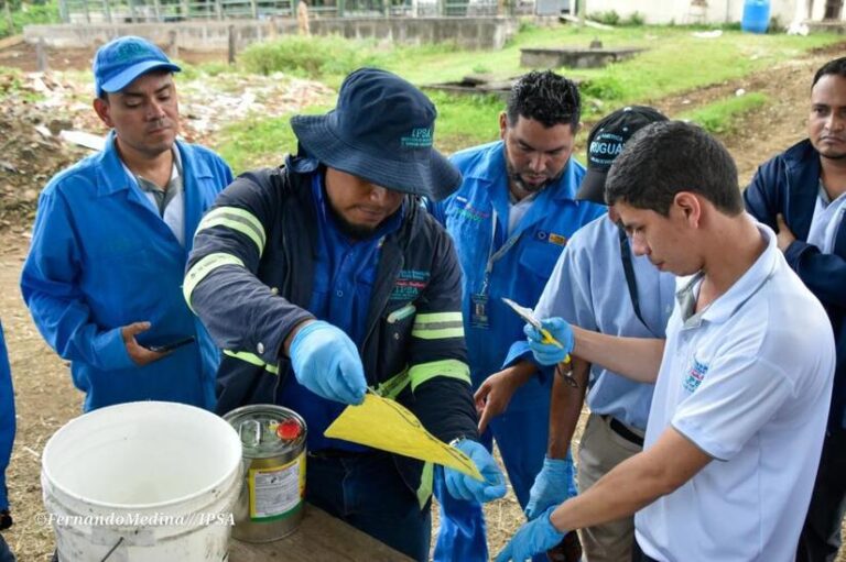 Aumentan a 271 los casos de gusano barrenador en personas, Managua registra la mayor incidencia
