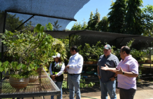 Marena proyecta sembrar más de 670 mil plantas florales y frutales en 2026