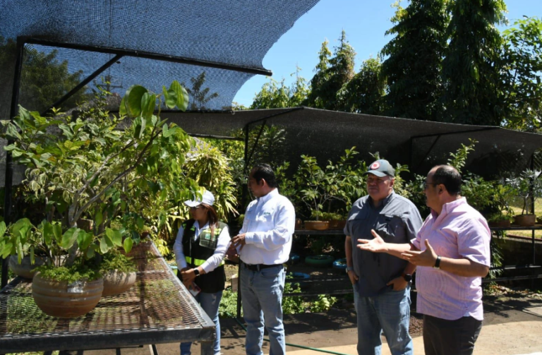 Marena proyecta sembrar más de 670 mil plantas florales y frutales en 2026