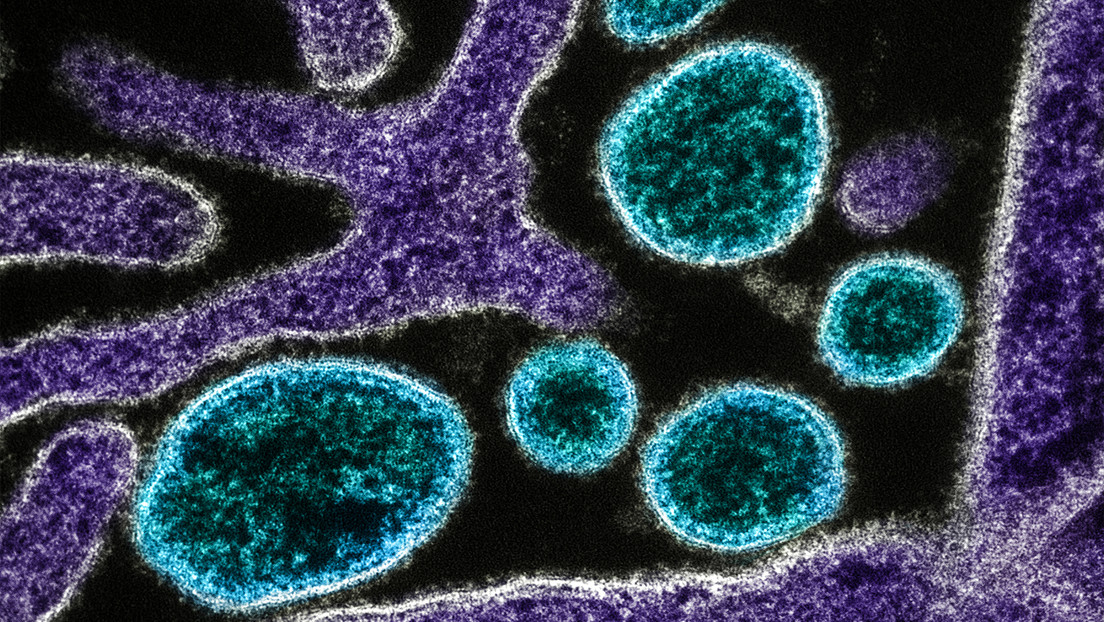 Letal virus incurable deja una víctima mortal en Bangladesh