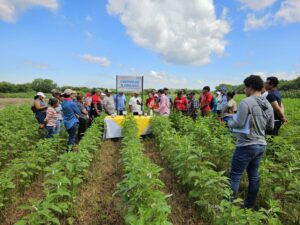 Gobierno concreta transformación estructural del sector agropecuario con la transferencia del INTA al MAG