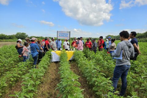Gobierno concreta transformación estructural del sector agropecuario con la transferencia del INTA al MAG