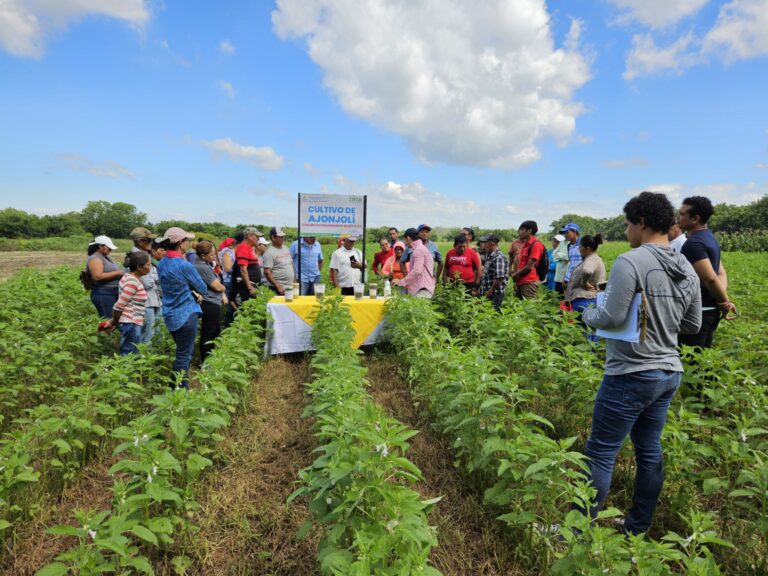 Gobierno concreta transformación estructural del sector agropecuario con la transferencia del INTA al MAG