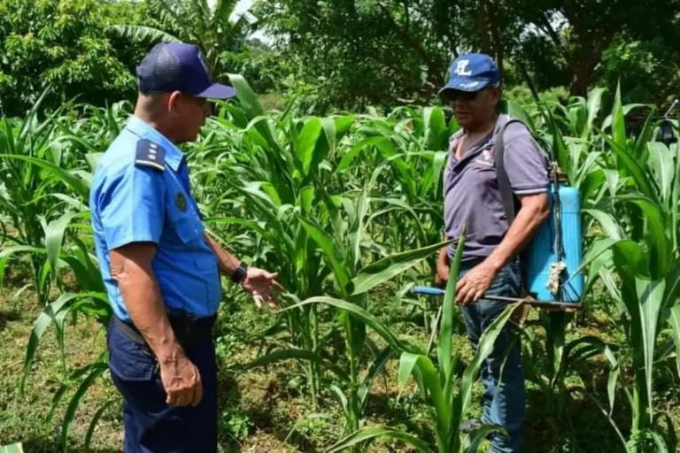 Arrestan a 41 delincuentes en una semana, incluidos cuatro homicidas
