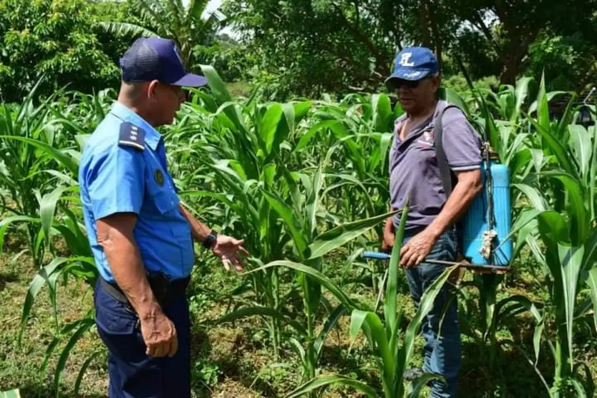 Arrestan a 41 delincuentes en una semana, incluidos cuatro homicidas