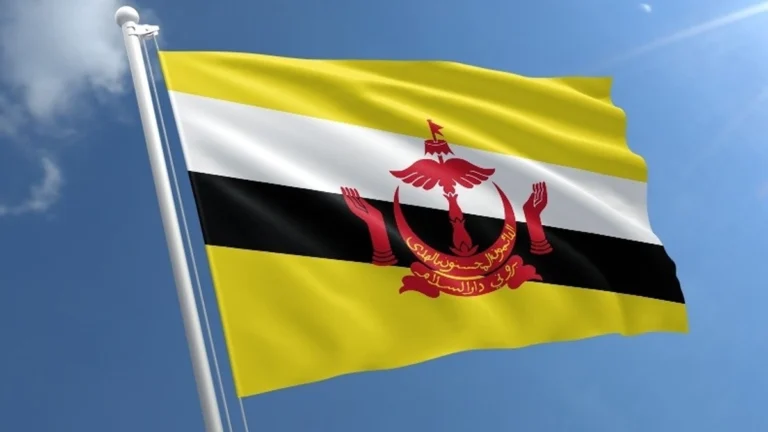 Copresidentes envían saludo y felicitación a Brunéi Darussalam por su 42 aniversario de independencia