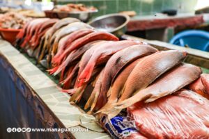 Mercado Israel Lewites listo con abastecimiento de mariscos para el verano