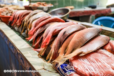 Mercado Israel Lewites listo con abastecimiento de mariscos para el verano