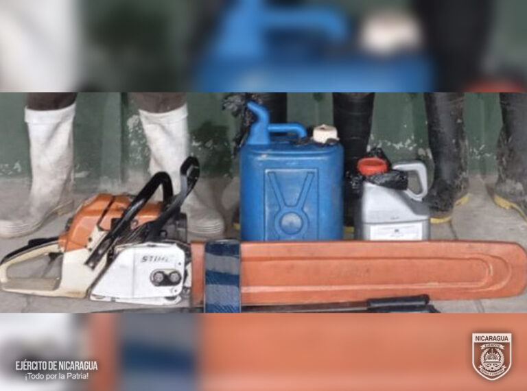 Detiene a cuatro nicaragüenses por delitos ambientales y circulación pendiente en el Caribe Norte