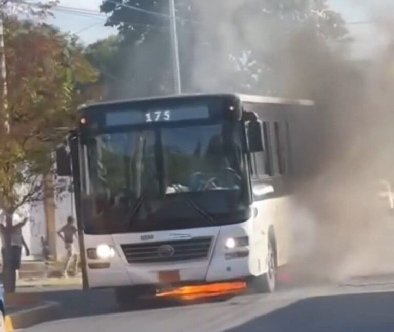 Cooperativa de Transporte informa que causas de incendio en autobús fue por un colchón en la vía