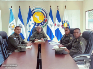 Fuerzas armadas de la región optimizan mecanismos de respuesta ante desastres