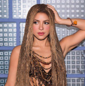 Shakira construirá un estadio