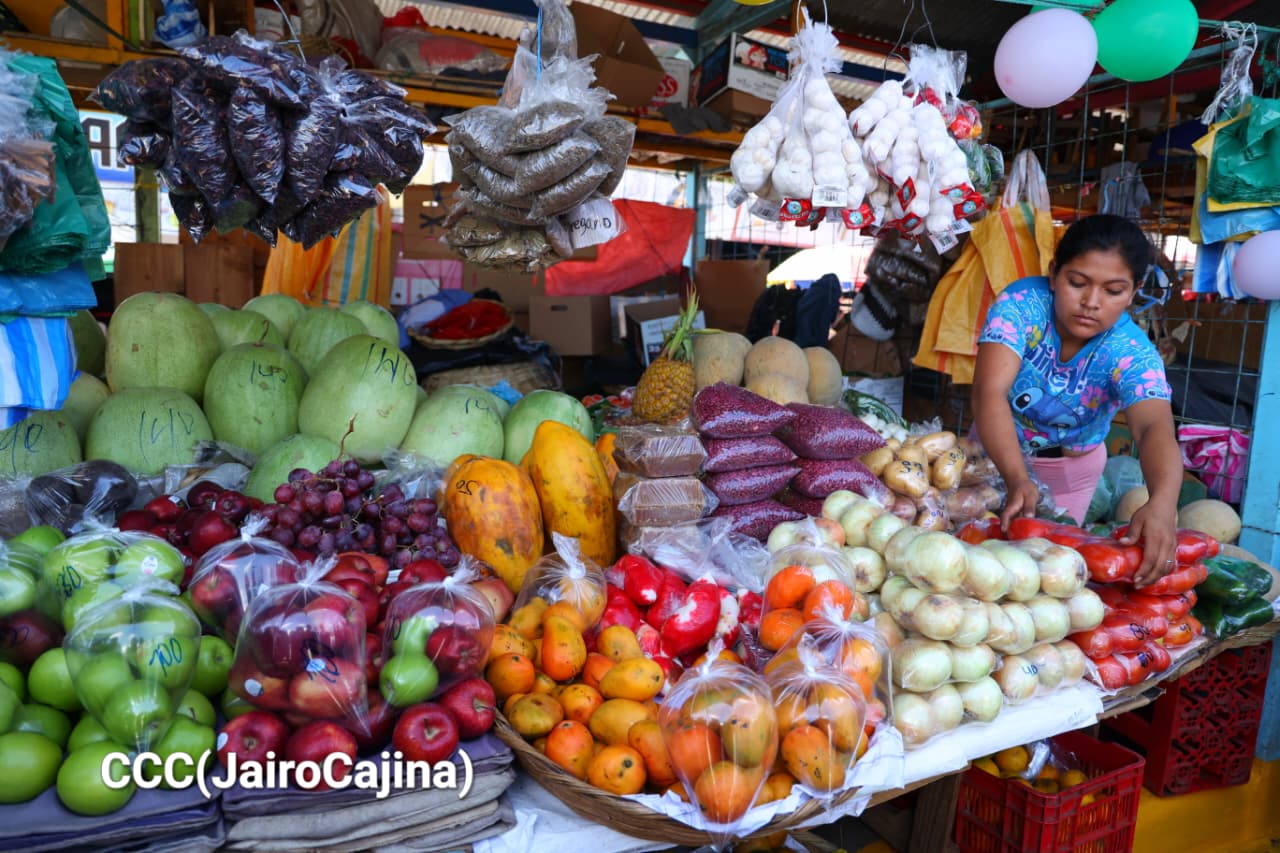 Mercados de Managua proyectan ventas de hasta 400 millones de córdobas en este verano