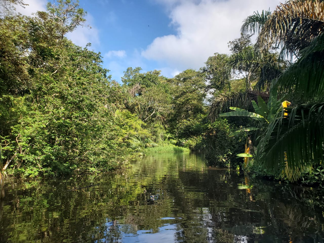 Policía de San Miguelito investiga muerte de hombre encontrado flotando en un río