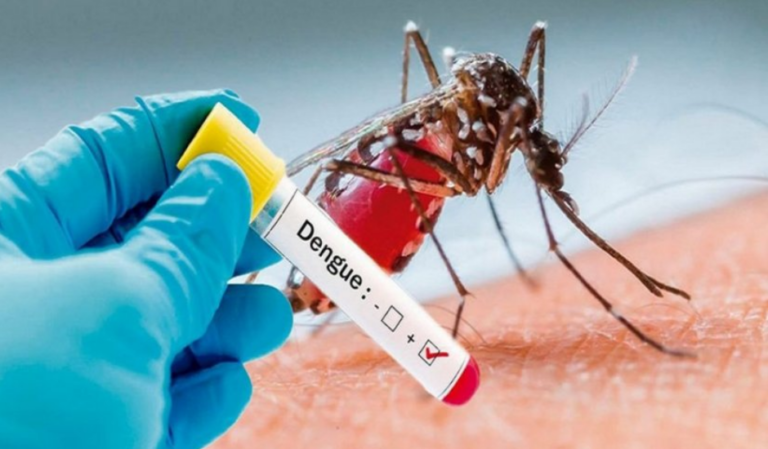 Disminuyen casos de dengue, malaria e influenza en la última semana