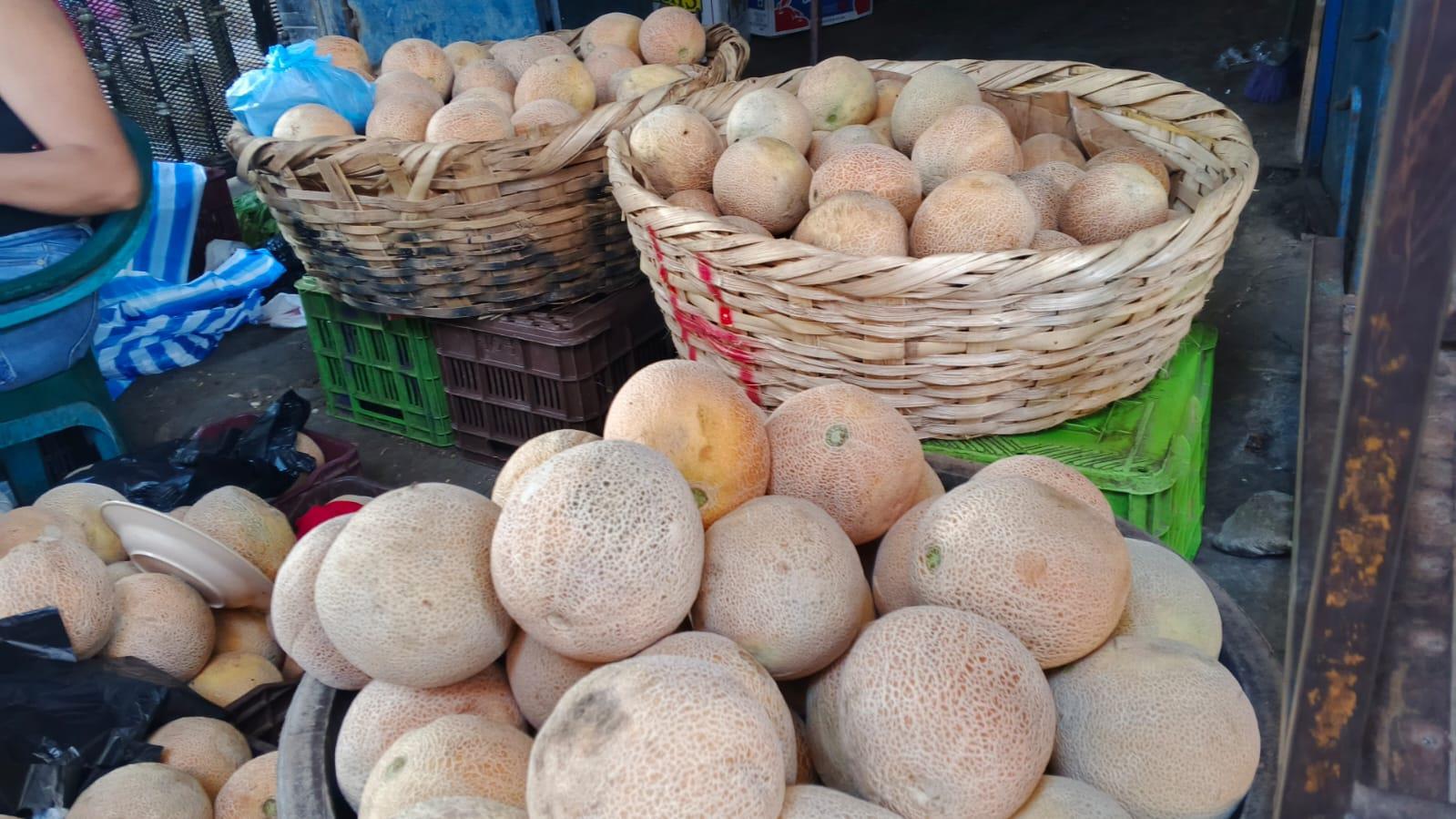 Producción de melón en Nicaragua alcanza 1.2 millones de unidades en tres meses