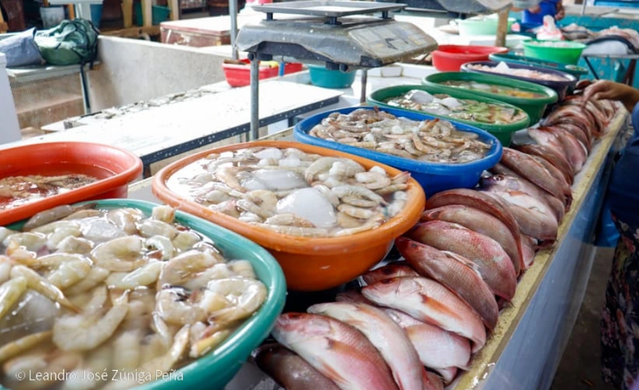 Se superan las expectativas de los comerciantes del Mercado Israel Lewites