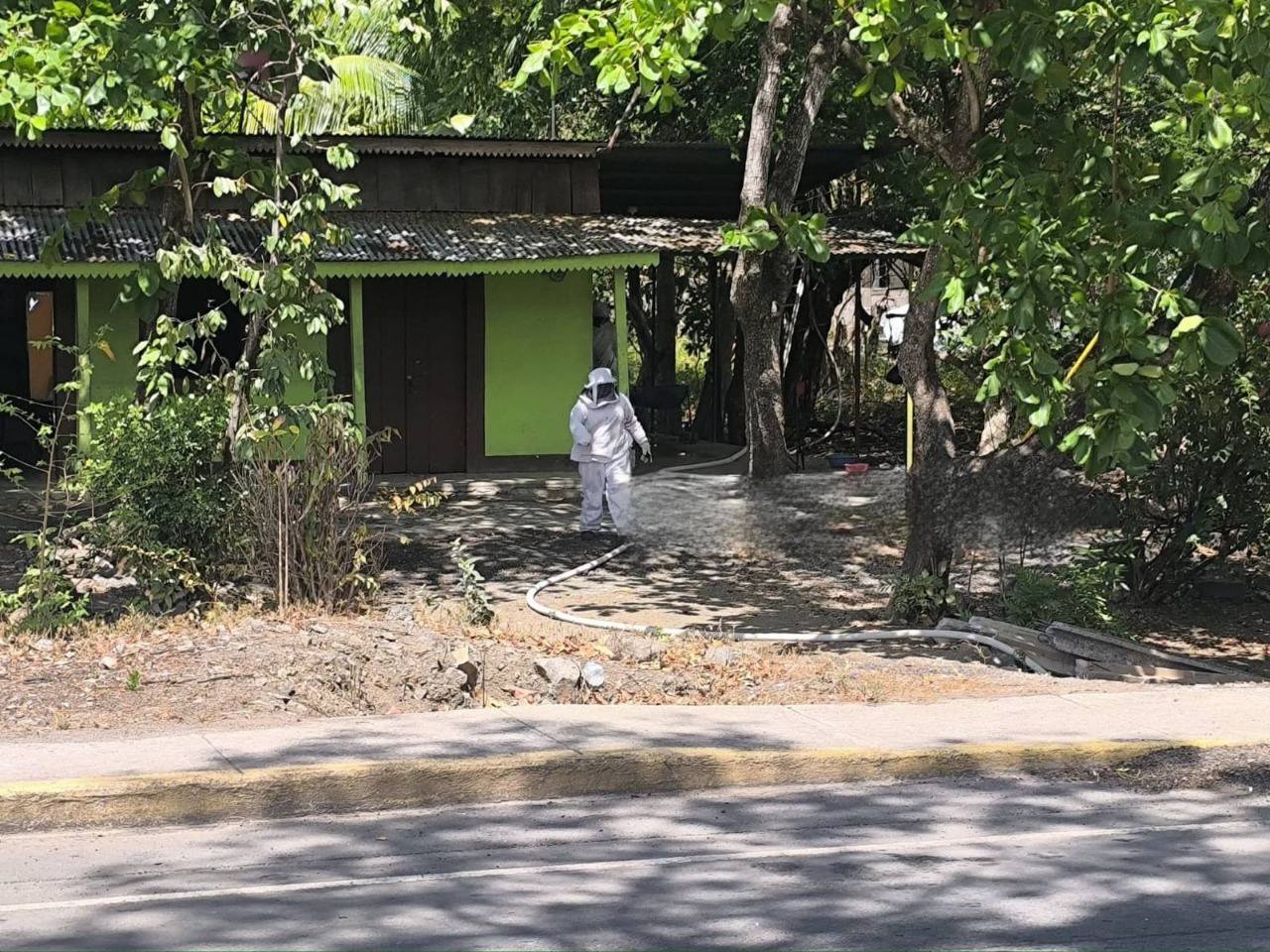 Chontaleño muere como un héroe al salvar a su madre de un ataque de abejas africanizadas