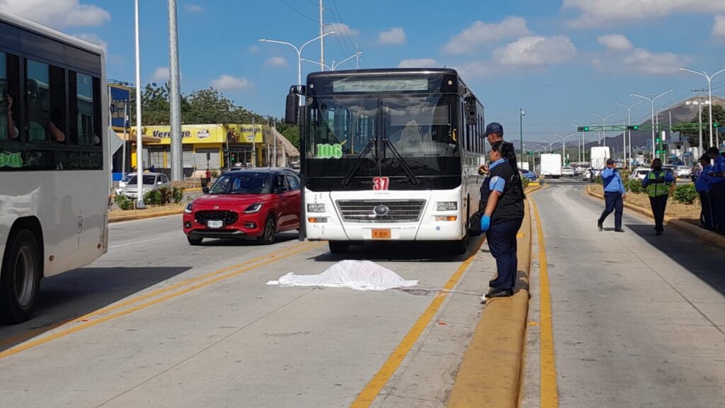 Imprudencia peatonal cobra la vida de una mujer en El Zumen