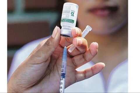 Fiebre amarilla provoca alerta en departamento de Bolivia