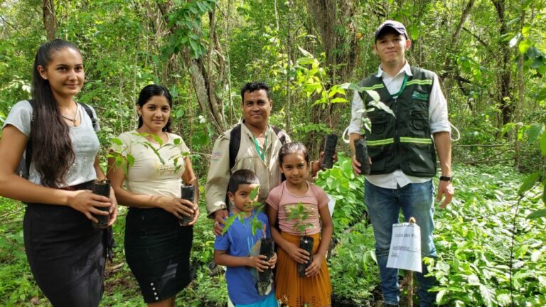 Se incrementará el impacto forestal en Nicaragua con la siembra 10 millones de plantas