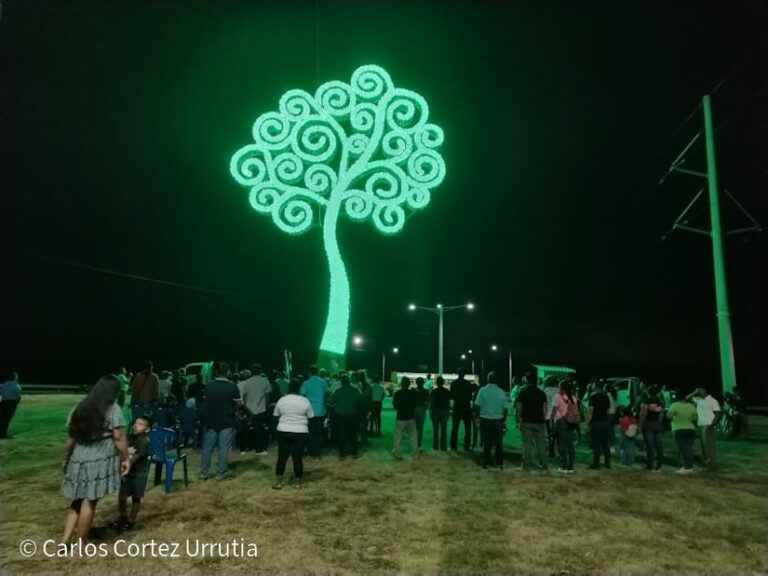 Jinotega y Rivas inauguran Árboles de la Vida en honor al comandante Tomás Borge