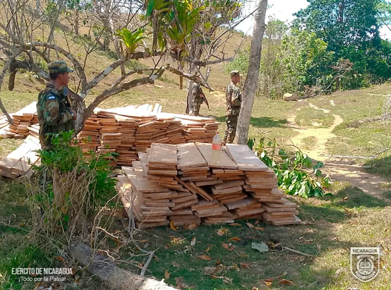 Ejército rescata un cuerpo sin vida y ocupa madera aserrada ilegalmente