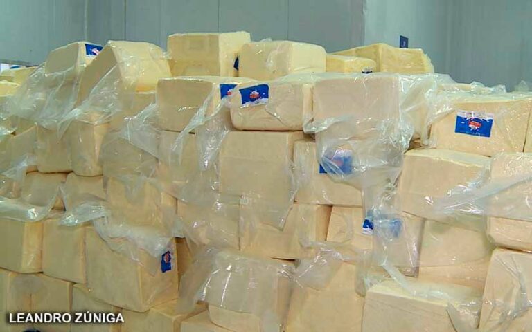 El 70% del queso que consume El Salvador es enviado por Nicaragua