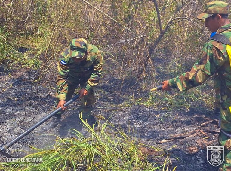 Ejército de Nicaragua y brigadas locales logran sofocar incendio en Jinotega