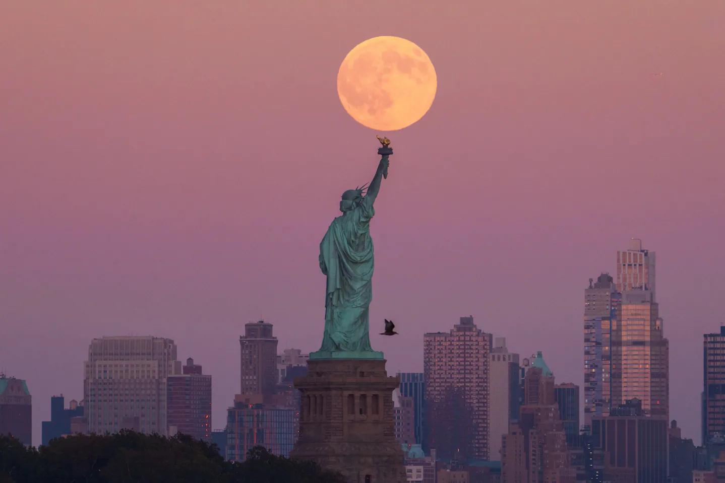 Con la final: Nueva York y Nueva Jersey albergarán un total de ocho partidos del Mundial