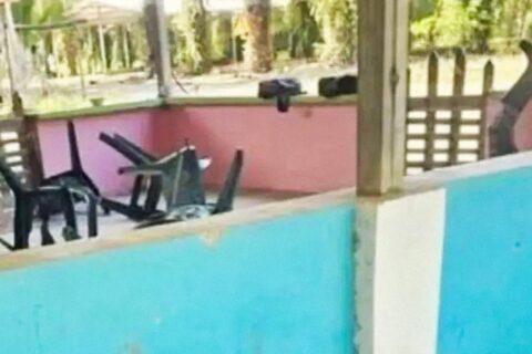 Masacre en Honduras: asesinan a al menos 11 trabajadores en una finca de palma africana