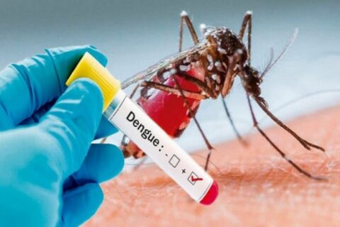 Minsa reporta baja en casos de dengue e influenza, pero aumentan la malaria y la neumonía
