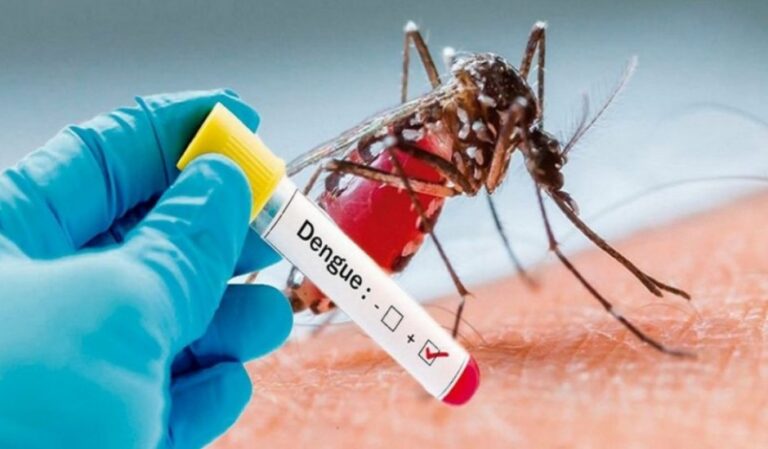 Minsa reporta baja en casos de dengue e influenza, pero aumentan la malaria y la neumonía