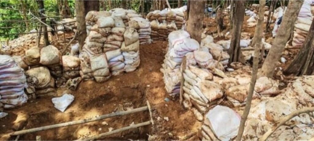 Seis nicaragüenses son capturados por la Fuerza Pública de Costa Rica en zona minera