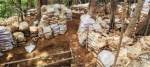Seis nicaragüenses son capturados por la Fuerza Pública de Costa Rica en zona minera