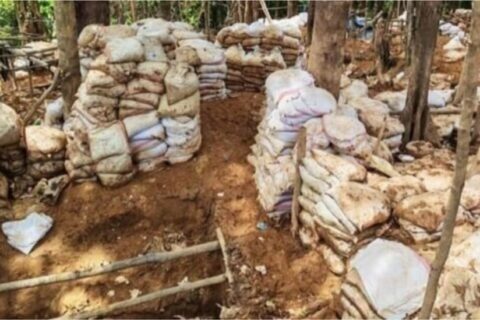 Seis nicaragüenses son capturados por la Fuerza Pública de Costa Rica en zona minera
