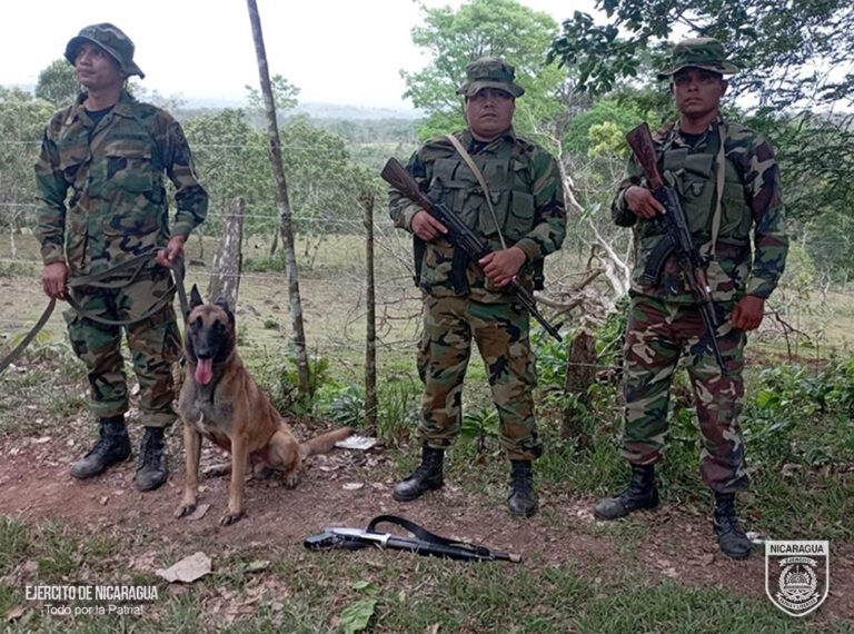 Operativos del Ejército dejan retenidos y ganado recuperado en Nueva Guinea