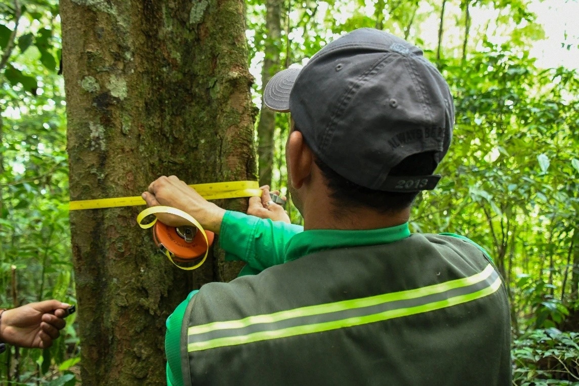Desarrollan tercera etapa del Inventario Nacional Forestal 2026