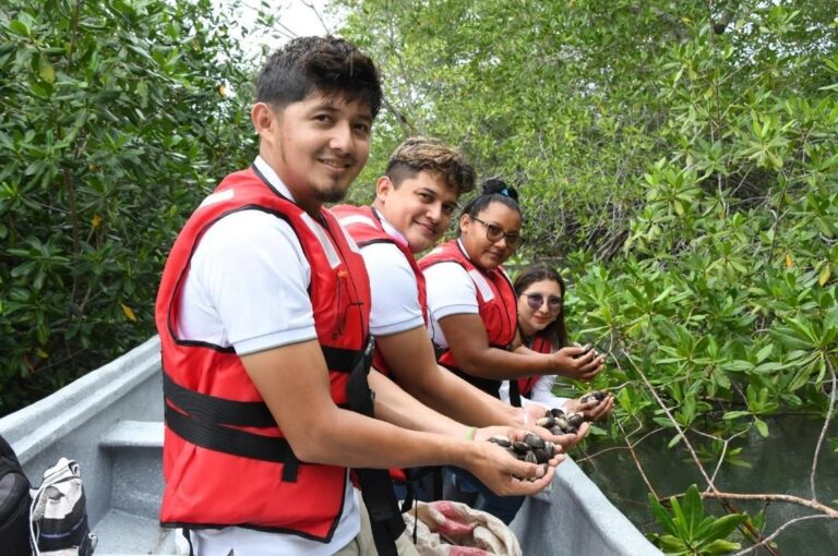 Avanza reforestación de los manglares en la Reserva Estero Padre Ramos de Chinandega