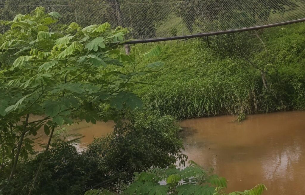 Hallan cadáver atado con piedras en el río Punta Gorda, en Nueva Guinea