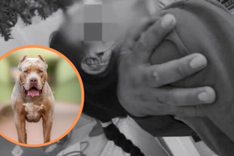 Adultos mayores y una menor resultan lesionados tras ser atacados por un perro pitbull en Masaya