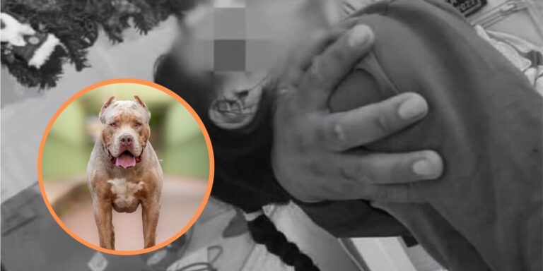 Adultos mayores y una menor resultan lesionados tras ser atacados por un perro pitbull en Masaya