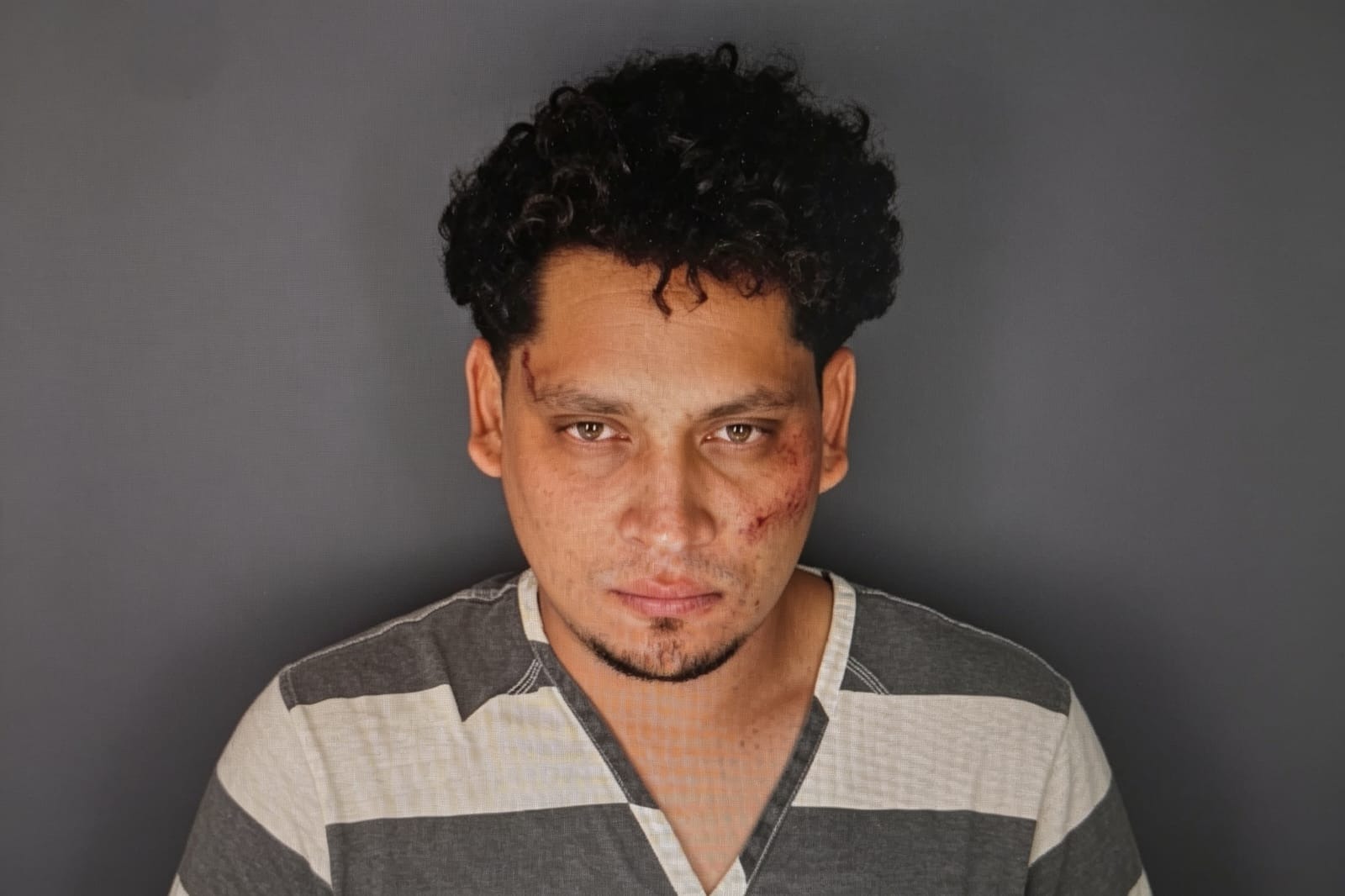 A más de cuatro años de prisión fue condenado nicaragüense por agredir a agente federal en Nueva York