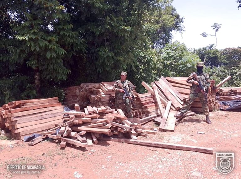Ejército ocupa 6,700 pie de madera por tala ilegal en la Costa Caribe Sur